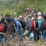 Illegal immigrants