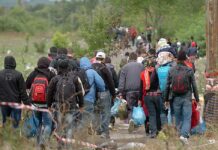 Illegal immigrants