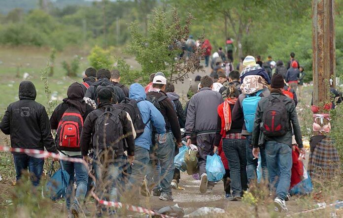 767062555 featured image Illegal immigrants