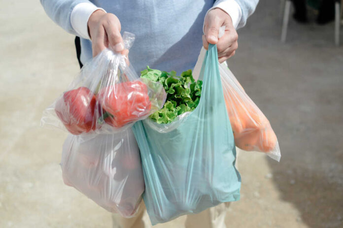 shutterstock_1090356905.jpg featured image Person carrying grocery bags with vegetables and fruits.