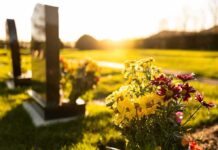 Sunlit cemetery with flowers on headstone