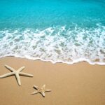 Two starfish on a sandy beach with ocean waves in the background