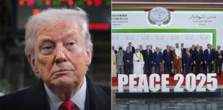 'Crazytown': Trump invites world leaders to join his Board of