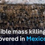 Massive Grave Site Uncovered Near World Cup Venue Mexicans searching for missing relatives uncover site of an