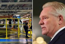 Ford CEO's DEVASTATING Warning Shocks America