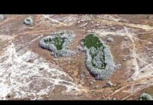 State DRIES UP — Hit by Worst Drought in 15 Years