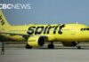 Airline COLLAPSES — 17,000 Jobs Vanish Overnight