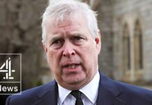 Masked Gunman Confronts Prince Andrew – Security NOWHERE Masked Gunman Confronts Prince Andrew - Security NOWHERE