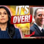 Senator Takes Heartless Jab at Tulsi Amid Her Husband’s Cancer Battle Senator Takes Heartless Jab at Tulsi Amid Her Husband's Cancer Battle