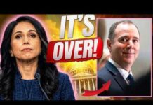 Senator Takes Heartless Jab at Tulsi Amid Her Husband’s Cancer Battle Senator Takes Heartless Jab at Tulsi Amid Her Husband's Cancer Battle