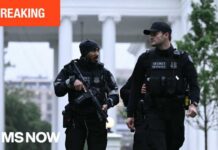 Reporter Describes White House Chaos New Details Emerge! BREAKING: Suspect killed in shooting near White House was previously known to Secret Service