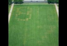 Giant Code Appears on National Mall Lawn! Giant Code Appears on National Mall Lawn!