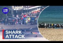 Shark MAULS Woman – Turns Beach Red! Woman fighting for life after Sydney shark attack | 9 News Australia