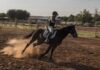 Teenage girl charged in stabbing of horses at Las Vegas barrel racing event