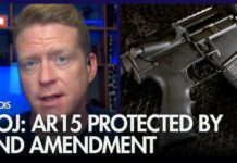 Federal Court Rebrands AR‑15s As THIS! DOJ: AR15s protected by 2nd Amendment, challenges IL's gun ban