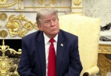 Trump calls Mamdani-backed NYC candidates 'communist' after primary wins in repeated political claim