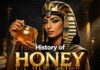 History of Honey — The Golden Liquid That Ruled Civilizations