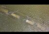 Ancient Bones Emerge As Natural Lake Vanishes Shipwreck revealed as Danube recedes to record-low levels