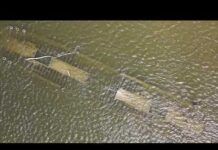 Ancient Bones Emerge As Natural Lake Vanishes Shipwreck revealed as Danube recedes to record-low levels