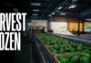 Consumer Panic: Avocado Pipeline Suddenly Freezes U.S. Halts Avocado Inspections in Michoacan — Harvest Frozen