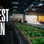 Consumer Panic: Avocado Pipeline Suddenly Freezes U.S. Halts Avocado Inspections in Michoacan — Harvest Frozen
