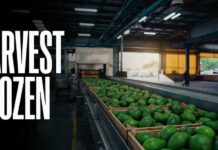 Consumer Panic: Avocado Pipeline Suddenly Freezes U.S. Halts Avocado Inspections in Michoacan — Harvest Frozen