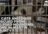 Hoarder Trapped Over 100 Animals in Feces-Filled House of Horrors Some rescued pets from Martin County hoarding home have microchips