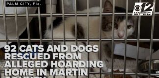 Some rescued pets from Martin County hoarding home have microchips