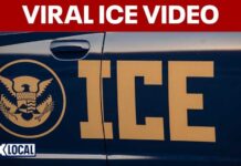 SHOCK Footage of ICE Agent Pointing Gun at Motorist Viral video shows ICE agent pointing gun at driver during Falls Church encounter
