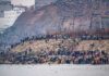 U.S Issues Travel Warning – Avoid THIS Region! Spanish citizens react to deadly migrant surge into Ceuta