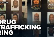 Maryland drug bust: Cocaine, heroin, guns seized