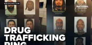 Maryland drug bust: Cocaine, heroin, guns seized