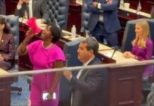 Angie Nixon’s Florida Democrat primary win sparks backlash as controversial clips resurface