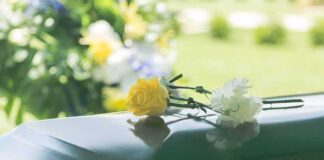 Yellow rose and white carnation on a green casket