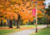 Autumn trees along a campus pathway with red banners on poles