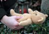Hands holding a teddy bear near a grave