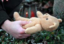 Toddler MURDERED by Clancy Obsessed Mom Hands holding a teddy bear near a grave