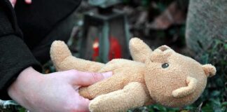 Hands holding a teddy bear near a grave