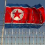 Barbed wire fence with North Korean flag in background