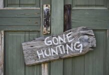Weathered wooden sign on green door