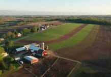 Chaos Ignites Over Mystery Kirk Crop Circle Aerial view of a farm with red barns and expansive green and brown fields