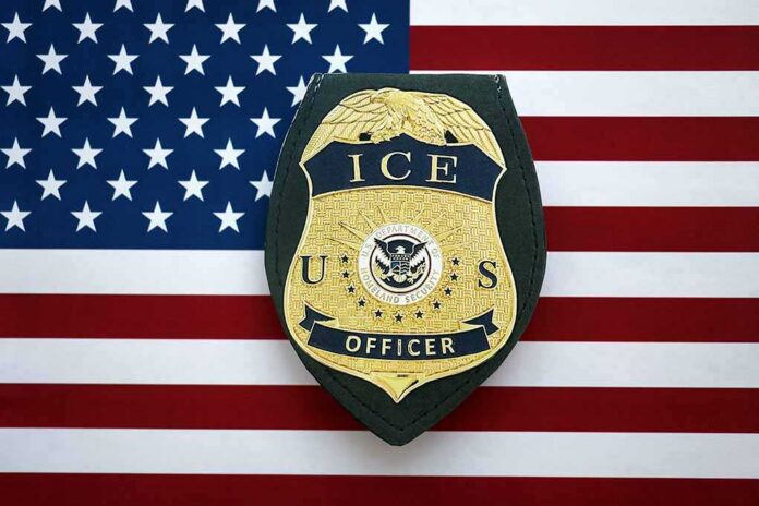 ICE officer badge on American flag background