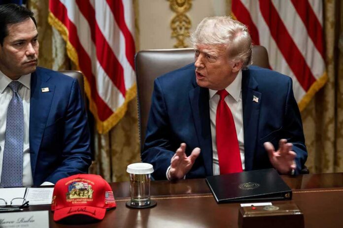 Donald Trump speaks at a meeting beside Marco Rubio at a conference table