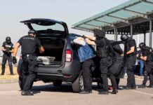 ICE Arrests Illegal Alien Who Crippled Federal Officer customs officers detain a person beside a car with its trunk open