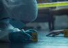 Woman Kills 4-Year-Old Daughter, Walks Free forensic investigator in protective suit examining crime scene markers
