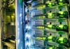 Outage Blacks Out Major Websites Across The World Server rack with network cables and glowing indicator lights